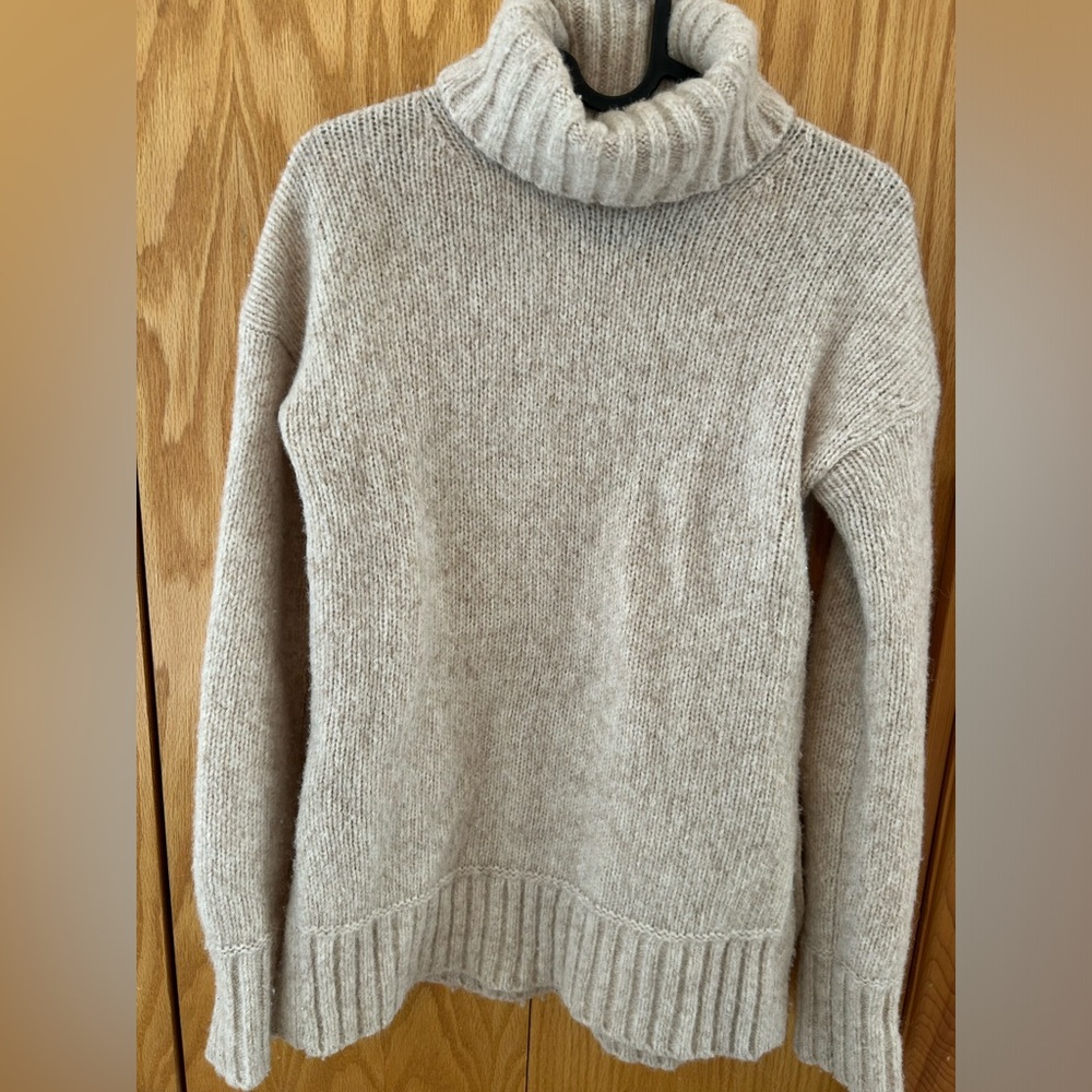 Everlane Turtleneck Cloud Sweater